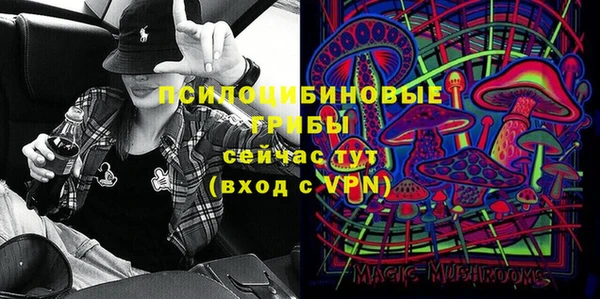 MDMA Горнозаводск