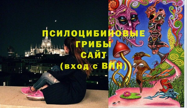 мдпв Горняк