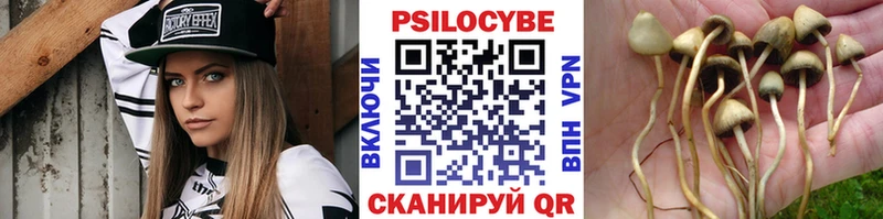 что такое   блэк спрут   Галлюциногенные грибы Cubensis  Альметьевск 